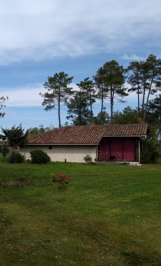 Maison Confortable Avec Terrasse En Bois Au Calme Sans Vis A Vis , 2 Chambres, Sur Un Parc De 4000M2 Arbore Et Clos Pissos Exterior photo